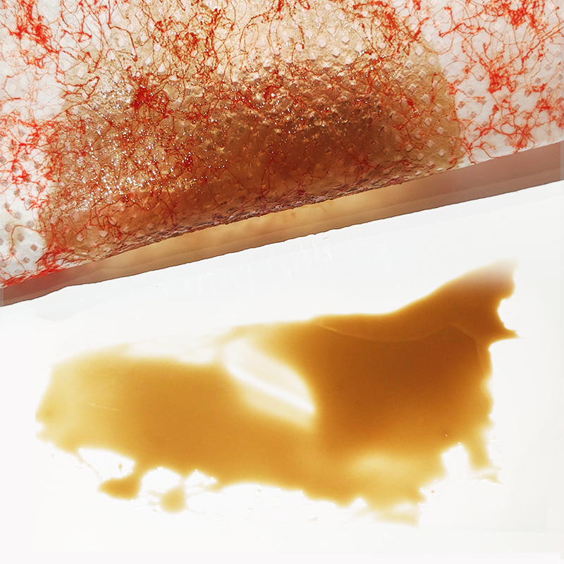 Demonstrating Oil Absorption Capability